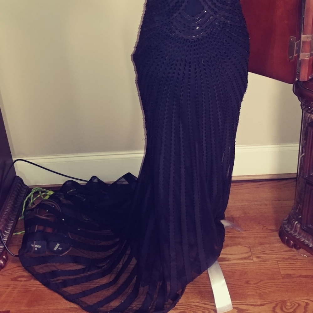 Custom Gown - image 4